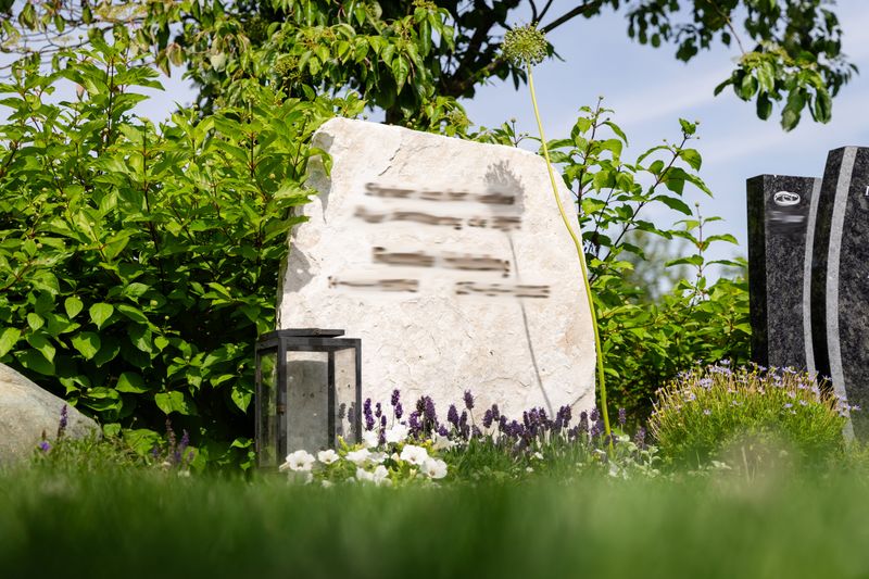 Ruwe witte natuursteen als grafmonument, omringd door lavendel en een gedenklantaarn